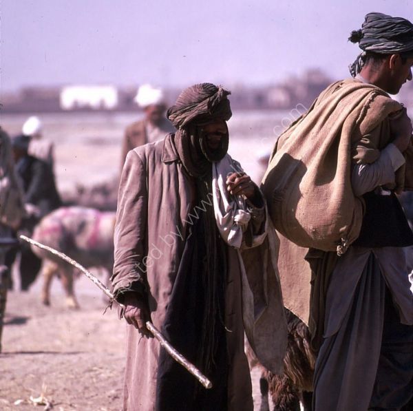 Afghani Farmers, Camel Market, Kabul
